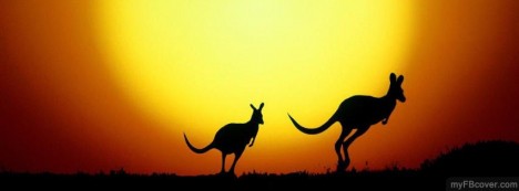 Kangaroo Silhoutte facebook Covers